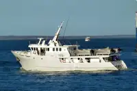 Trawler zu verkaufen