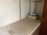 Schleppboot zu verkaufen