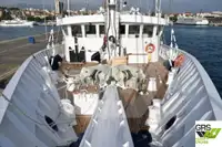 Kreuzfahrtschiff zu verkaufen