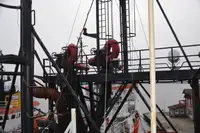 Schleppboot zu verkaufen