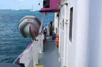 General Cargo/Multi-purpose zu verkaufen