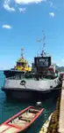 Schleppboot zu verkaufen