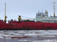 Kühlschiff zu verkaufen