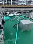 Patrouillenboot zu verkaufen