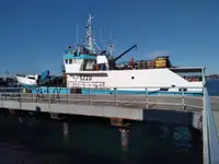 Trawler zu verkaufen
