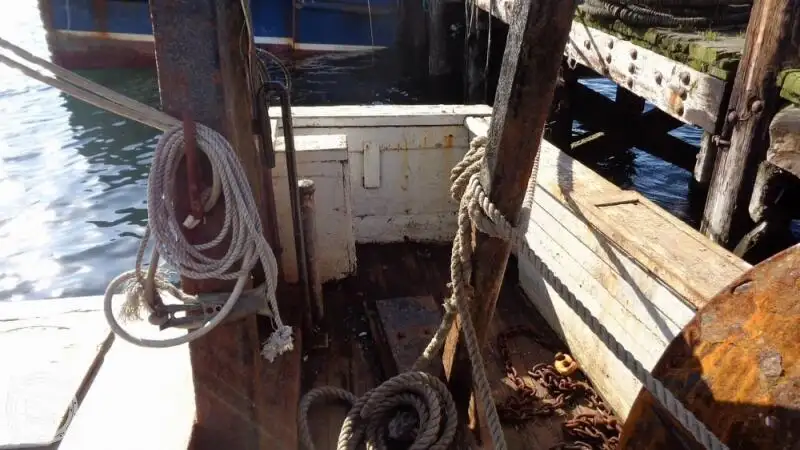 Trawler zu verkaufen