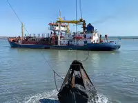 Bagger zu verkaufen