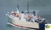 Ro-Ro-Schiff zu verkaufen