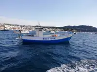 Trawler zu verkaufen