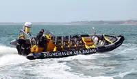 Festrumpfschlauchboot zu verkaufen