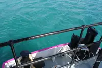 General Cargo/Multi-purpose zu verkaufen