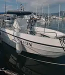Kreuzfahrtschiff zu verkaufen