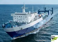 Ro-Ro ship zu verkaufen