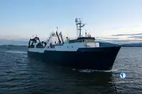 Trawler zu verkaufen