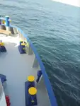 Kühlschiff zu verkaufen