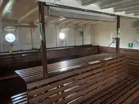 Kreuzfahrtschiff zu verkaufen