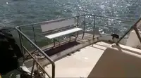 Crew-Boot zu verkaufen