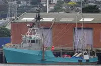 Trawler zu verkaufen