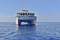 Schleppboot zu verkaufen