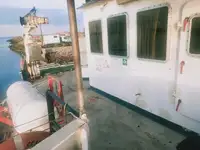 Landungsboot, Tank zu verkaufen