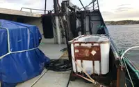 Trawler zu verkaufen