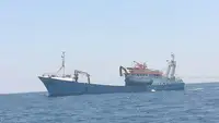 Containerschiff zu verkaufen