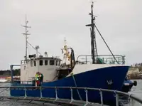 Trawler zu verkaufen