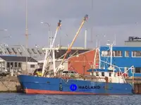 Beam-Trawler zu verkaufen