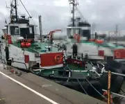 Schleppboot zu verkaufen