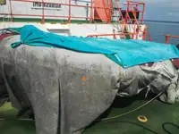Schleppboot zu verkaufen