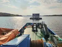 Schleppboot zu verkaufen