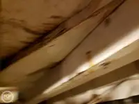 Fährschiff zu verkaufen