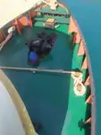 Schleppboot zu verkaufen