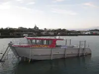 Kreuzfahrtschiff zu verkaufen