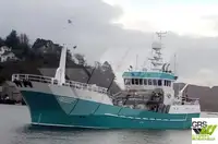 Trawler zu verkaufen