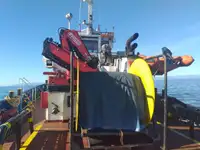 Schleppboot zu verkaufen