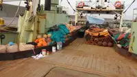 Trawler zu verkaufen