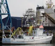 Containerschiff zu verkaufen