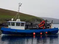 Arbeitsboote zu verkaufen