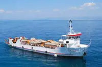 Containerschiff zu verkaufen