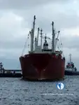 Kühlschiff zu verkaufen