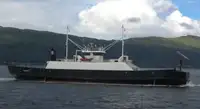 Ro-Ro-Schiff zu verkaufen