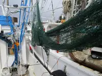 Trawler zu verkaufen