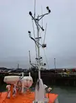 Schleppboot zu verkaufen