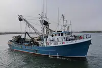 Purse-Seiner zu verkaufen