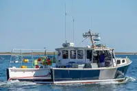 Purse seiner zu verkaufen
