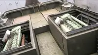 Schleppboot zu verkaufen