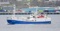 Purse seiner zu verkaufen