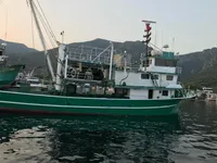 Purse-Seiner zu verkaufen