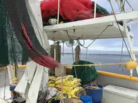 Trawler zu verkaufen